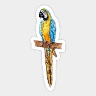 Tropical Parrot Sticker